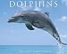 Books : Dolphins 2009 Calendar