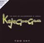Too Shy: the Best of