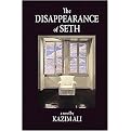 The Disappearance of Seth (Paperback)