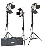 Fancierstudio 2400 Watt Barndoor Video Lighting Kit Light Kit With Carrying Case By Fancierstudio FL100RB