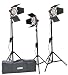 Fancierstudio 2400 Watt Barndoor Video Lighting Kit Light Kit With Carrying Case By Fancierstudio FL100RB