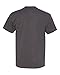 Hanes Men's Big-tall Beefy T-shirt-c, Charcoal Heather, XLT