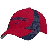 Nike Fresno State Bulldogs Red 2008 3-D Players Flex Fit Hat