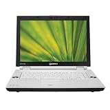 Product details for Toshiba Qosmio F45-AV410 15.4