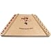 Musicmaker 2 Octave Psaltry with 12 Songsheets!