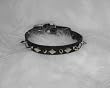 Hamilton 1/2" x 18" Black Leather with Spikes and Diamond Pattern Dog Collar