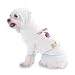 Tole Painting Princess Hooded (Hoody) T-Shirt with pocket for your Dog or Cat MEDIUM White