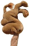 Camel Animal Bottom Cover