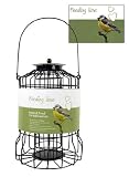 Bird Feeder Squirrel Proof Fat Ball Lantern