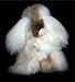Soft Cuddly Alpaca Stuffed Animal Hand Made Pet Dog Teddy Bear APD_WHITEBROWN10_045