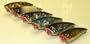 6 T6C Topwater Poppers Crankbaits - Fishing Lures Set T6b