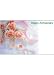 50 Memo/Enclosure/Floral/Gift Cards - Happy Anniversary (MC2028)