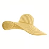 Large Straw Stripe Sun Hat - Natural W32S09F