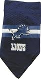 Detroit Lions New Leather Money Clip Wallet