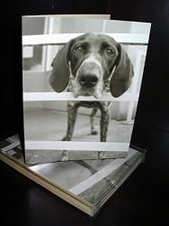 Talk to the Paw! Birthday Greeting Cards - Some days