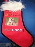 Dear Santa, Define GOOD ! Pet Christmas Holiday Stocking at THE REGAL DOG