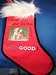 Dear Santa, Define GOOD ! Pet Christmas Holiday Stocking at THE REGAL DOG