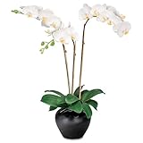 Baumgartens Artificial White Orchids In A Dark Brown Ceramic Pot 27in Overa ....