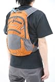[��������] DAKINE AMP 12L Rust 12L 8110-008