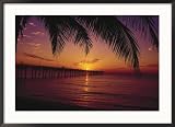 Dania Fishing Pier, Florida, Sunrise Collections Framed Photographic Poster Print by Warren Flagler, 36x26