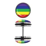 Body Accentz™ Earrings Rings Fake Rainbow Cheater Plug 16 gauge - Sold as a pair