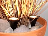 Indoor House Pot Plant Uplighters/Spot Lights x2