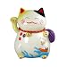 Lucky Cat Porcelain Piggy Bank FEN013
