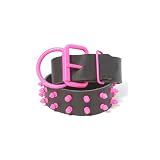 Platinum Pets Genuine LC29INPNKSPK Large Leather Dog Collar with Spikes, Bubblegum Pink