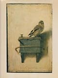 Carel Fabritius : complete edition with a catalogue raisonné