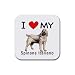I Love My Spinone Italiano Dog Square Coasters (Set of 4)