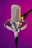 Audio-Technica AT4047 Condenser Microphone