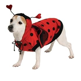 Lady Bug Pet Costume
