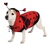 Lady Bug Pet Costume, X-Large