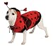 Lady Bug Pet Costume, X-Large