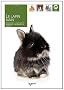 Le lapin nain : Morphologie, comportement, alimentation, reproduction et hygi�ne