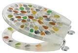 Kitchen & Housewares : the pebble stone bathroom wc luxury toilet seat jh314 (VIVO BRANDED)