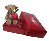 Send This Classic Teddy Delivery Holding A Handmade Red Rose and Heart to Deliver Your Special Message. FREE Gift Card/Message Service. Ideal Birthday Gift Sorry Gift, Thank You Gift, Romantic Gift Good Luck or Get Well Gift. Alternative to Flowers.