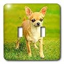 Dogs Chihuahua - Chihuahua - Light Switch Covers - double toggle switch