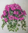 Magenta Bougainvillea Hanging Basket