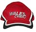 Wales Supporters Cap