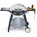 Garten & Freizeit : Weber 426079 Gasgrill Q 300