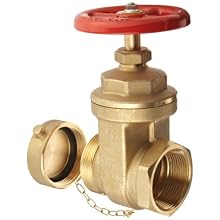 Dixon WDGV251F Forged Brass Non-rising Stem Wedge Disc Gate Valves, 2-1/2" NPT Female x NST Male