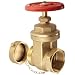 Dixon WDGV251F Forged Brass Non-rising Stem Wedge Disc Gate Valves, 2-1/2" NPT Female x NST Male
