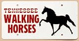 Tn Walk Horse Plastic License Plate - 6X12