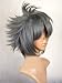 Anime Final Fantasy Short Gray Cosplay Wig(Model:JF010147)(Gray)