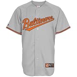 MLB Youth Baltimore Orioles Road Gray Short Sleeve 6 Button Synthetic Replica Baseball Jersey Spring 2011  (Road Gray, Large)