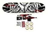 Birdhouse Falcon III - Tony Hawk Skateboard Deck - 7.75 in. x 31.88 in.
