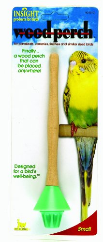 JW Pet Company Insight Wood Perch Bird Accessory,