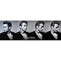 Unframed Posters - James Dean "Dream As You Live" (12 x 36")