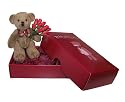 Valentine's Gift - Send This Classic Teddy Delivery Holding Twelve Red Roses to Deliver Your Special Message Romantic Gift